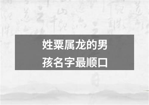 姓粟属龙的男孩名字最顺口