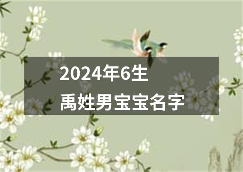 2024年6生禹姓男宝宝名字