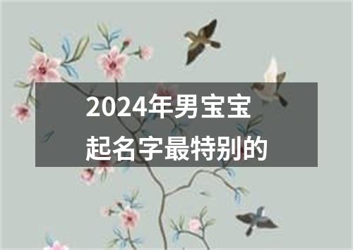 2024年男宝宝起名字最特别的