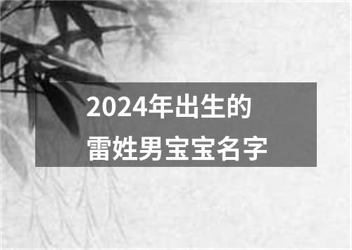 2024年出生的雷姓男宝宝名字