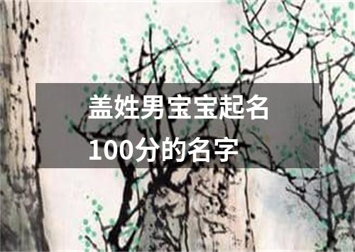 盖姓男宝宝起名100分的名字