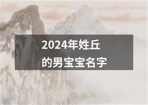 2024年姓丘的男宝宝名字