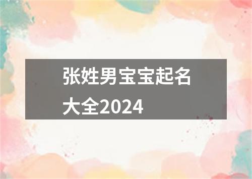 张姓男宝宝起名大全2024