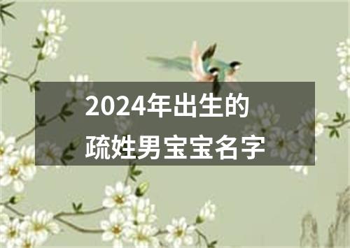 2024年出生的疏姓男宝宝名字