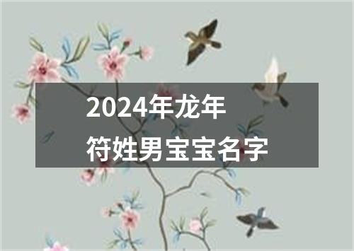 2024年龙年符姓男宝宝名字