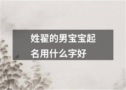 姓翟的男宝宝起名用什么字好