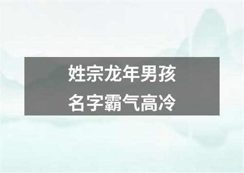 姓宗龙年男孩名字霸气高冷