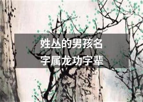 姓丛的男孩名字属龙功字辈