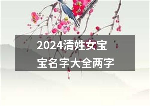 2024清姓女宝宝名字大全两字