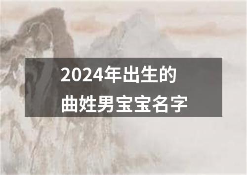 2024年出生的曲姓男宝宝名字