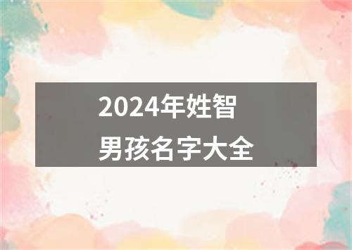 2024年姓智男孩名字大全