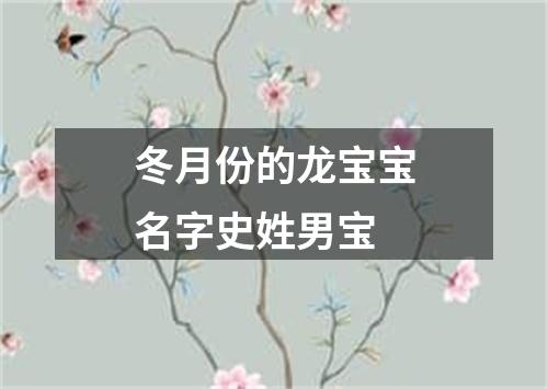 冬月份的龙宝宝名字史姓男宝