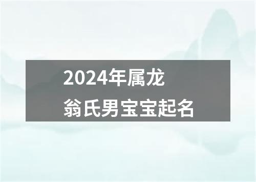 2024年属龙翁氏男宝宝起名