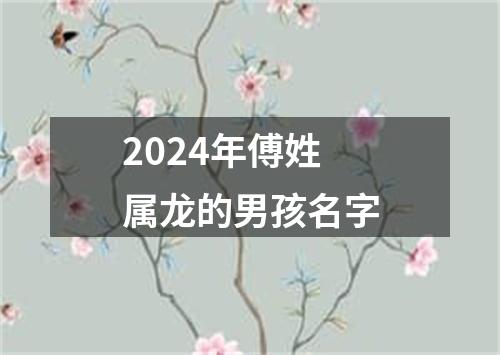 2024年傅姓属龙的男孩名字