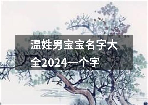 温姓男宝宝名字大全2024一个字