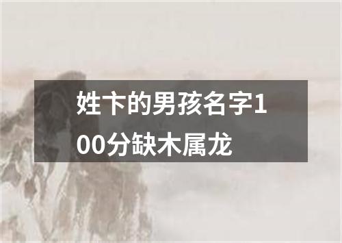 姓卞的男孩名字100分缺木属龙