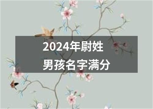 2024年尉姓男孩名字满分