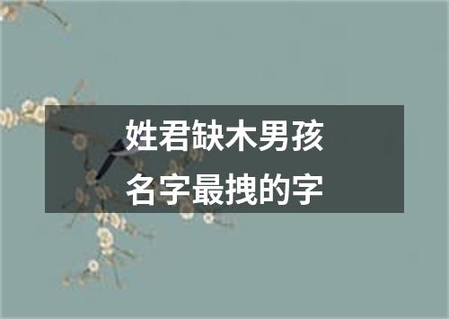 姓君缺木男孩名字最拽的字