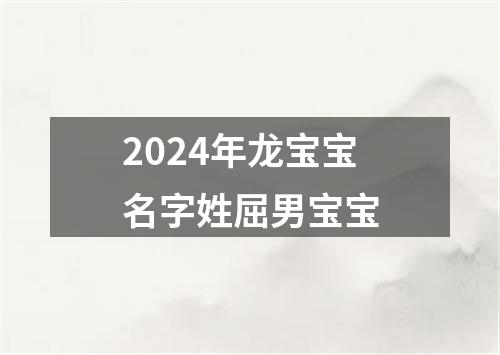 2024年龙宝宝名字姓屈男宝宝