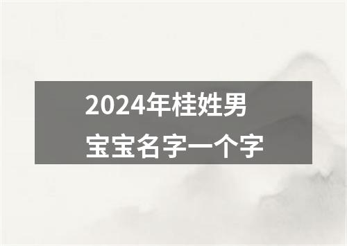 2024年桂姓男宝宝名字一个字