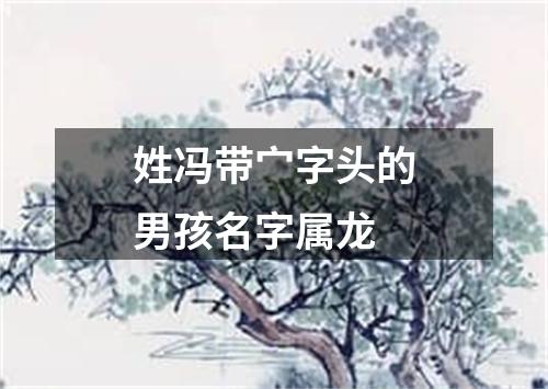 姓冯带宀字头的男孩名字属龙