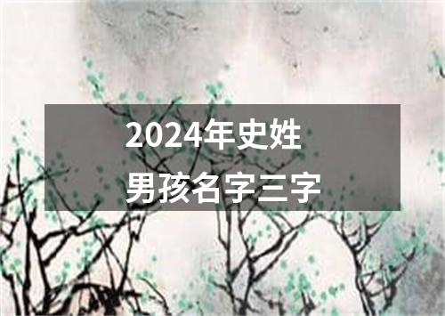 2024年史姓男孩名字三字