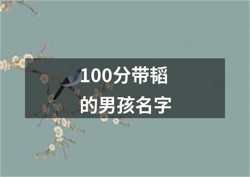 100分带韬的男孩名字