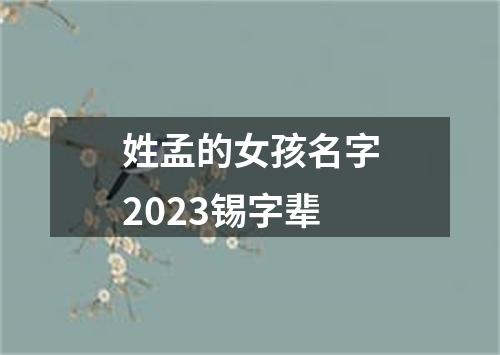 姓孟的女孩名字2023锡字辈