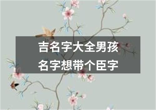 吉名字大全男孩名字想带个臣字