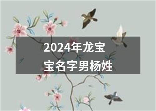 2024年龙宝宝名字男杨姓