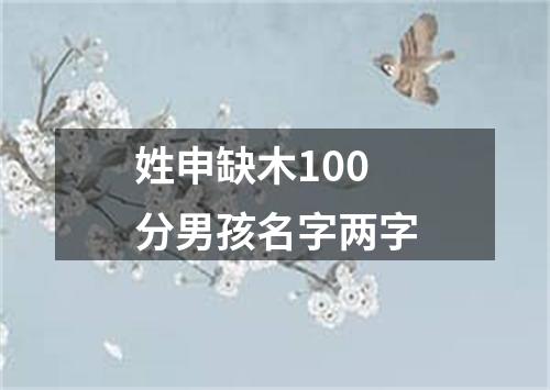 姓申缺木100分男孩名字两字