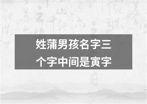 姓蒲男孩名字三个字中间是寅字