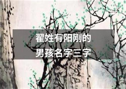 翟姓有阳刚的男孩名字三字