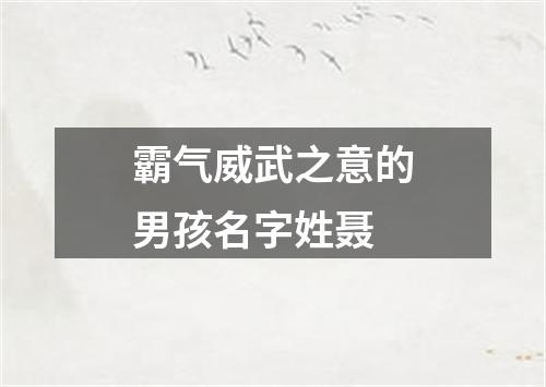 霸气威武之意的男孩名字姓聂