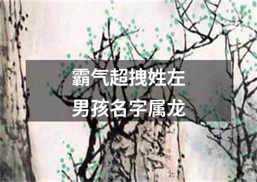 霸气超拽姓左男孩名字属龙