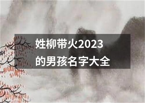 姓柳带火2023的男孩名字大全