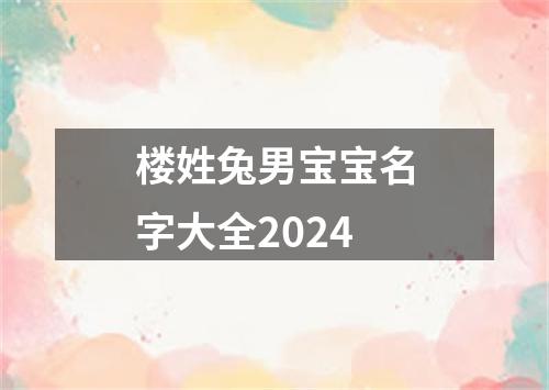 楼姓兔男宝宝名字大全2024