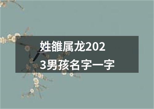 姓雒属龙2023男孩名字一字