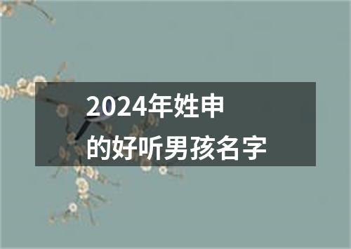 2024年姓申的好听男孩名字