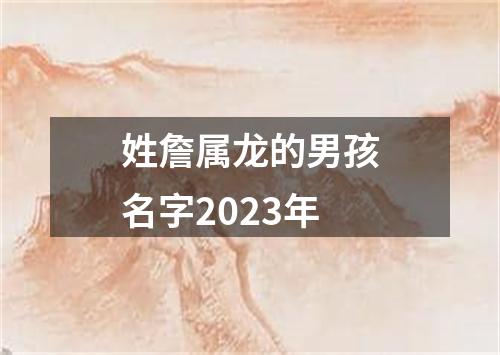 姓詹属龙的男孩名字2023年