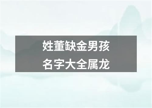 姓董缺金男孩名字大全属龙