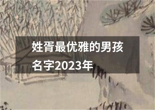 姓胥最优雅的男孩名字2023年