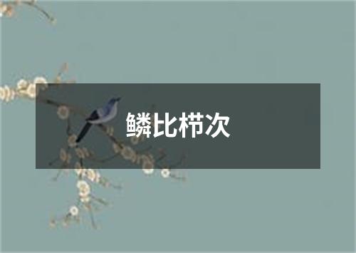 鳞比栉次