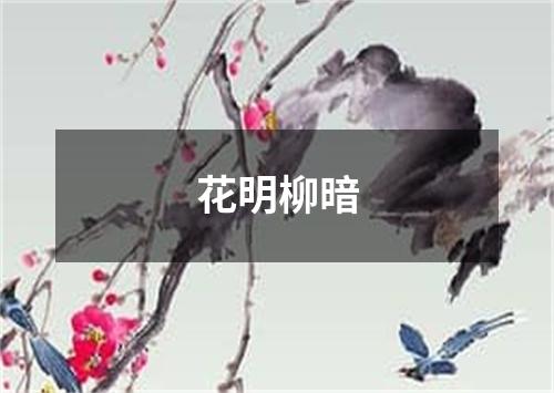 花明柳暗