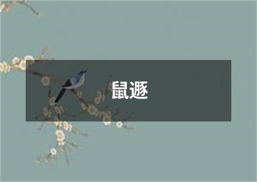 鼠遯