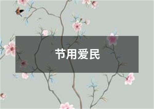 节用爱民