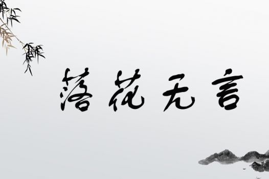 落花无言