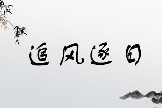 追风逐日