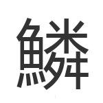 鱗