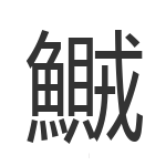 鱡